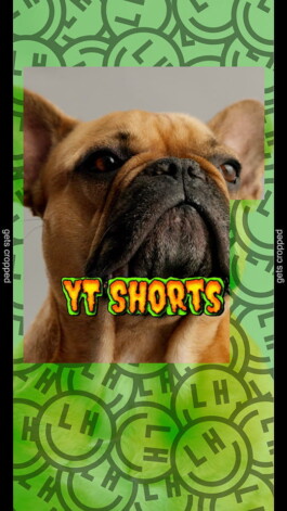 lowres highlife social media content motion design social guides yt shorts